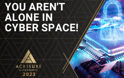 Viewpoint for 2023: You Aren’t Alone in Cyber Space!